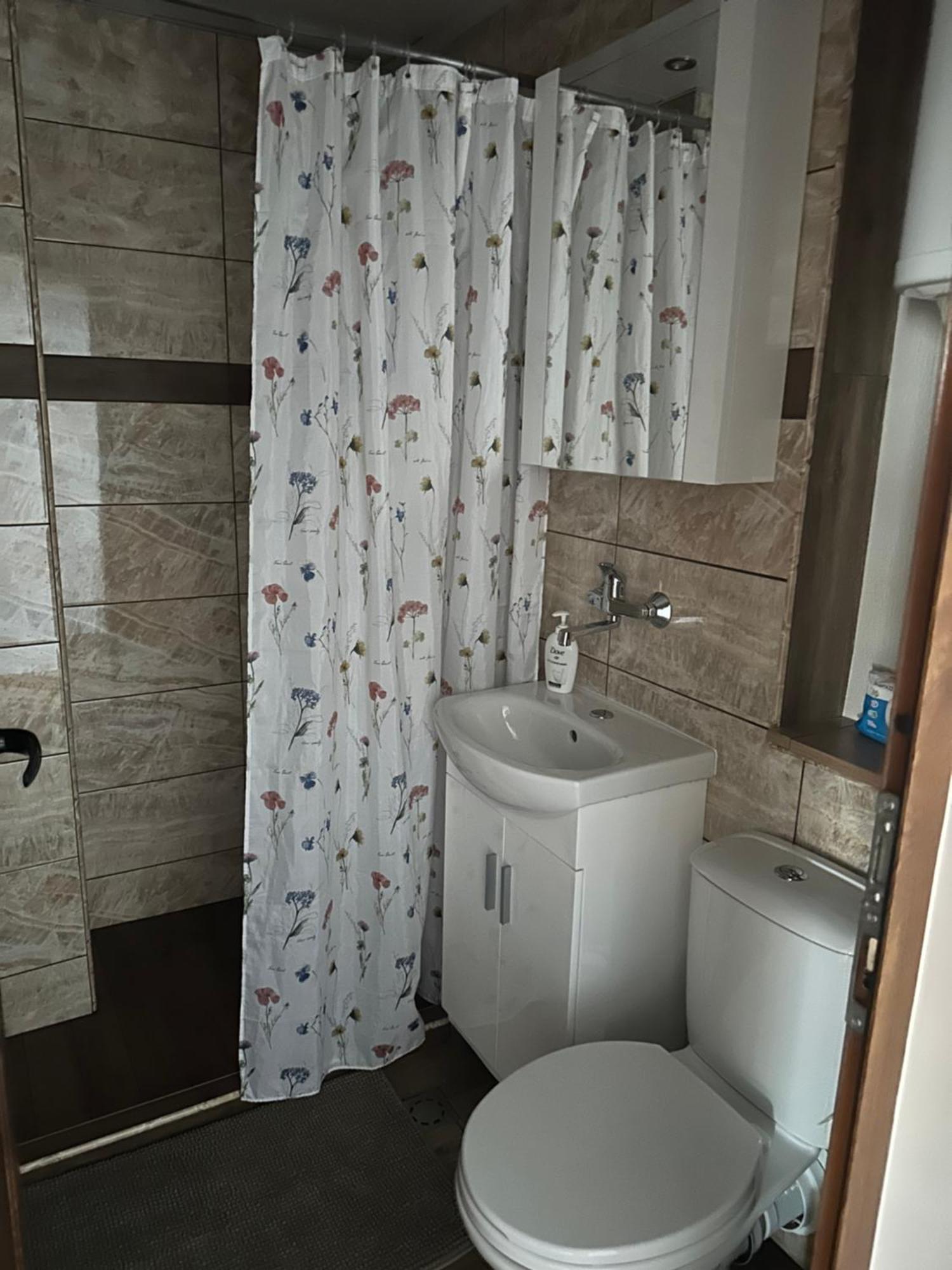 Appartement Rose à Karlovo Extérieur photo